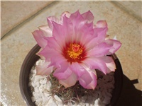 4f5e520e-Picture 7670.jpg